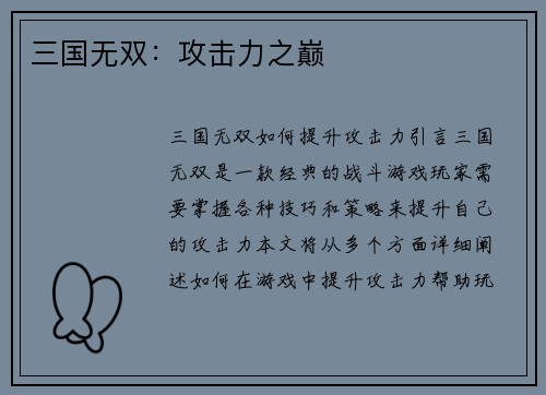 三国无双：攻击力之巅